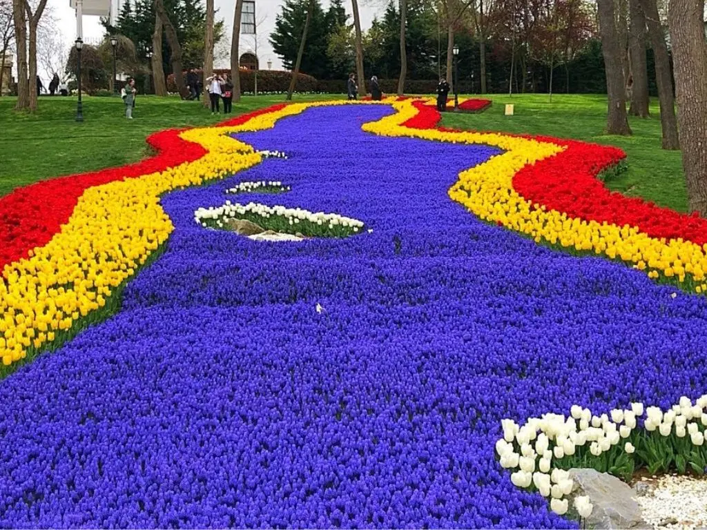 Tulip Gardens Across The World : Top Destinations 