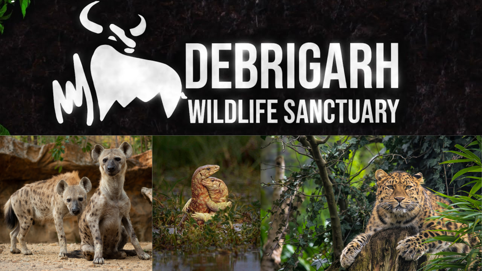 Debrigarh wildlife Sanctuary